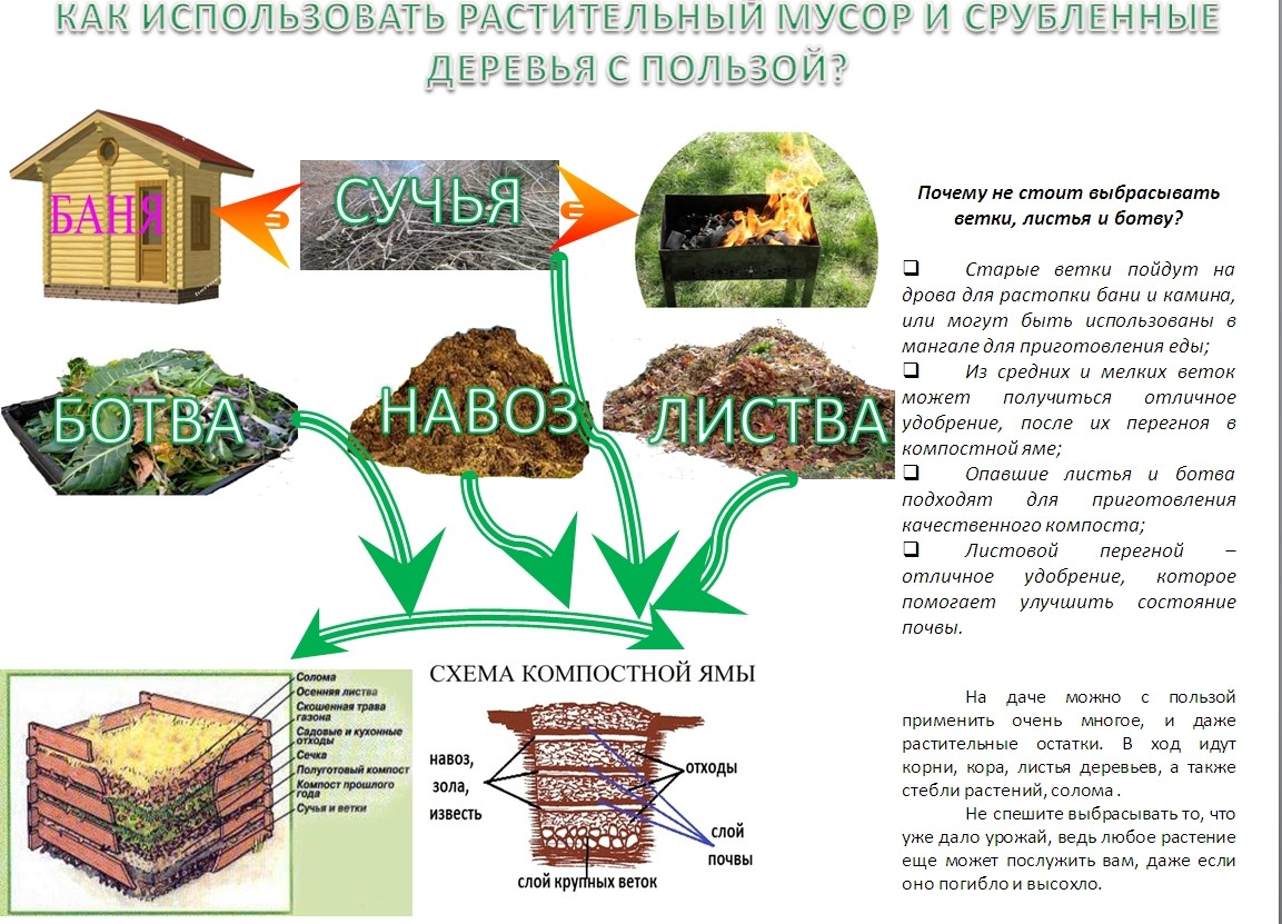 Изображения.